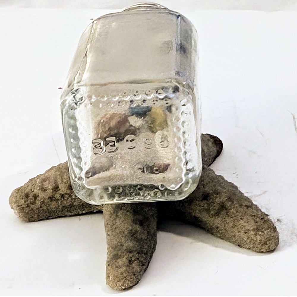 Seashore In A Bottle - Picture 4 of 5